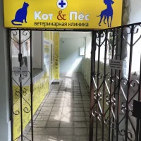 Ветеринарная клиника Кот и пёс в Теренинском переулке Фото 2 на проекте VetSpravka.ru Ветеринарная клиника Кот и пёс в Теренинском переулке Фото 2 на проекте VetSpravka.ru