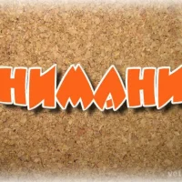 Ветеринарная клиника Котенок Гав на проекте VetSpravka.ru Ветеринарная клиника Котенок Гав на проекте VetSpravka.ru