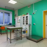 Клиника Умка Фото 2 на проекте VetSpravka.ru Клиника Умка Фото 2 на проекте VetSpravka.ru