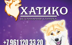 Ветеринарная клиника Хатико Фото 2 на проекте VetSpravka.ru