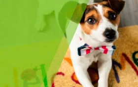 Ветеринарная клиника Вет-полюс  на проекте VetSpravka.ru